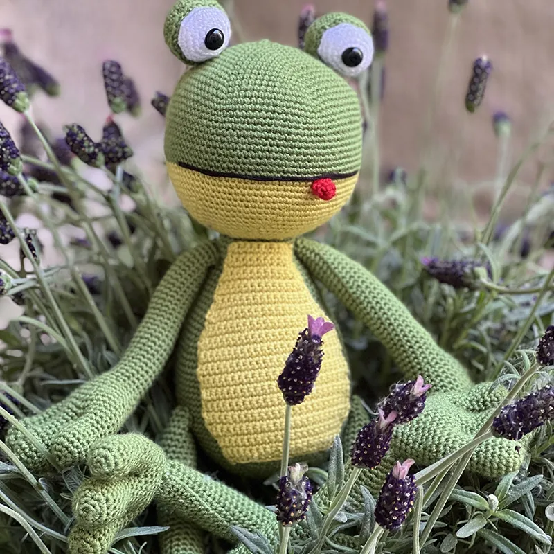 Zeltschule Frosch